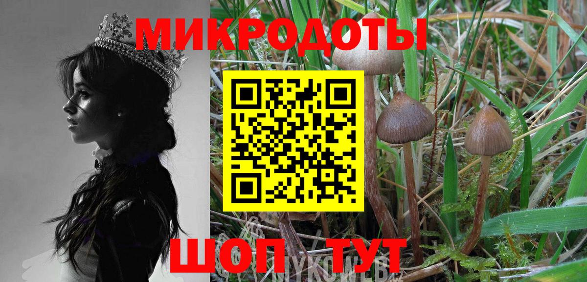 Галлюциногенные грибы MAGIC MUSHROOMS Искитим