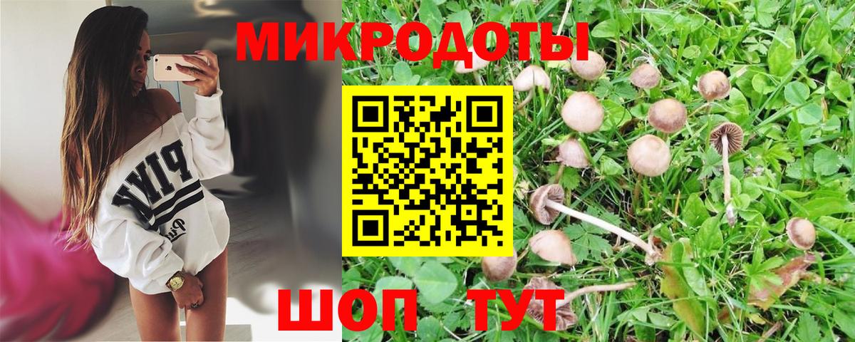Искитим  Псилоцибиновые грибы Cubensis  Вход с VPN  Псилоцибиновые грибы мицелий 